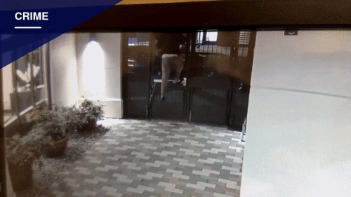 Berkeley Student Chased Into Locked Apartment Gate, Man Identified but Not Arrested