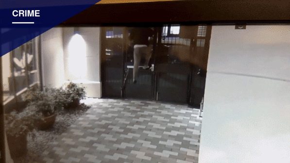 Berkeley Student Chased Into Locked Apartment Gate, Man Identified but Not Arrested