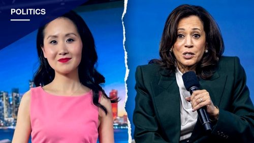 Former Fundraiser Says Harris Courted Biden's Donors Days Before He Exited Race