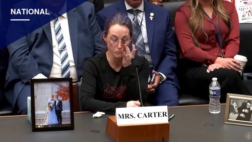 Mother of California crash victim tells Congress she's 'ashamed' of her party's immigration stance