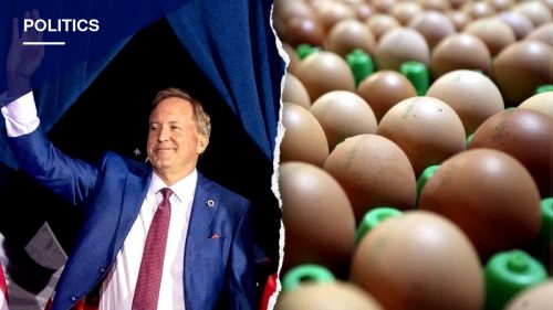 Texas food banks to hand out millions of free eggs from price-fixing settlement