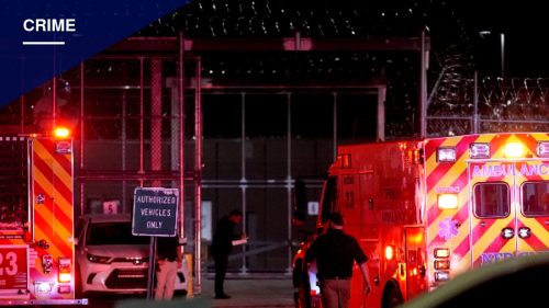 Christa Pike Released from Hospital Weeks After Botched Nashville Execution
