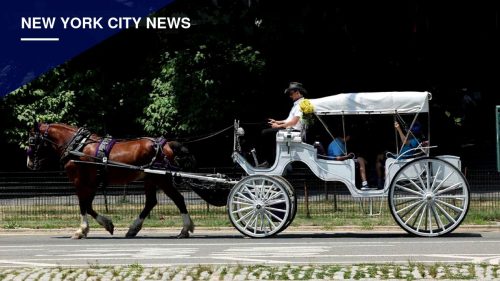 City Council Deal Would End Central Park Horse Carriages by 2028