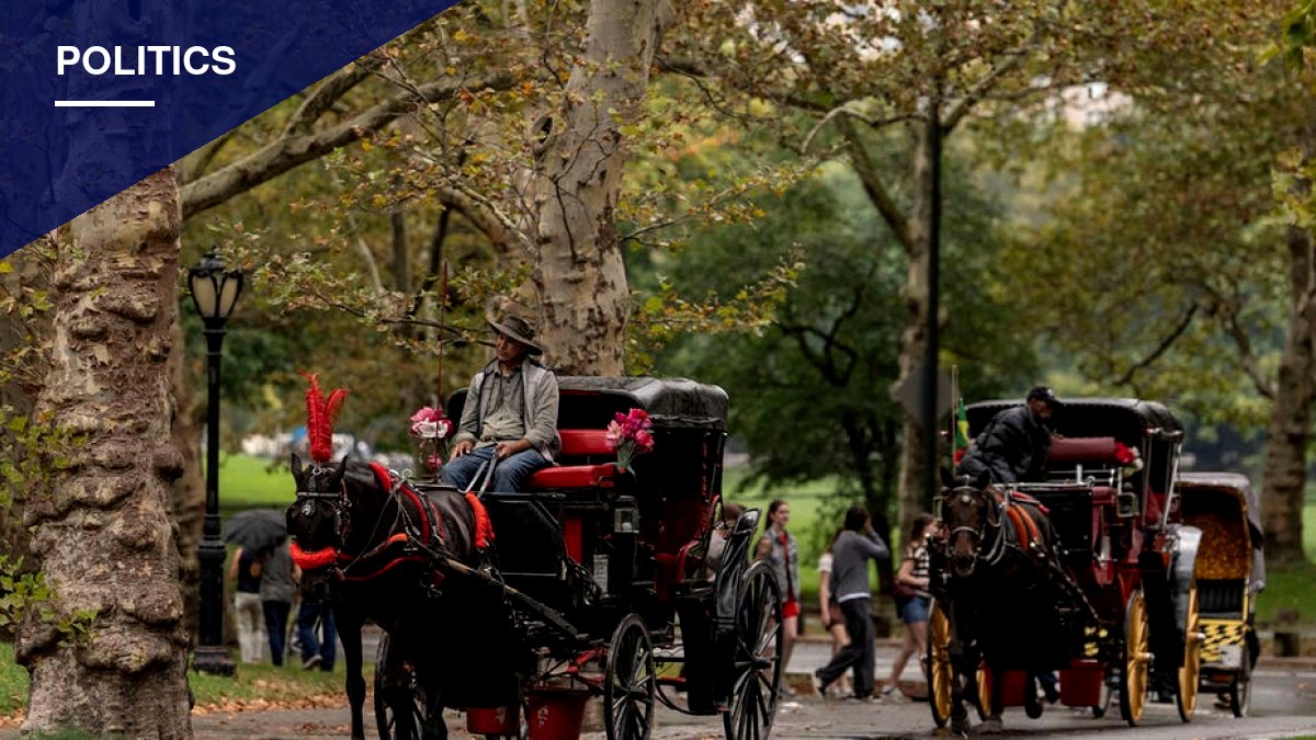 City Council Votes to End Central Park Horse Carriages by 2028