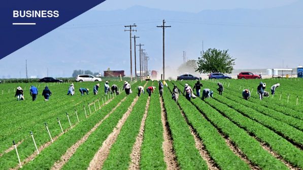 New state law raises farmworker minimum wage to $19.75 an hour, Fresno County farmers warn of higher food prices