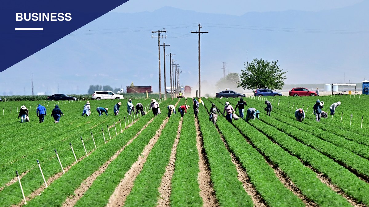 New state law raises farmworker minimum wage to $19.75 an hour, Fresno County farmers warn of higher food prices