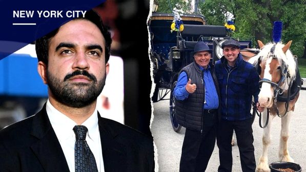 NYC Council Deal Would Phase Out Horse Carriages by 2028, Drivers Vow to Fight Ban