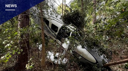 Pilot and Wife Walk Away After Plane Crashes Into Tree Near Ocean Isle