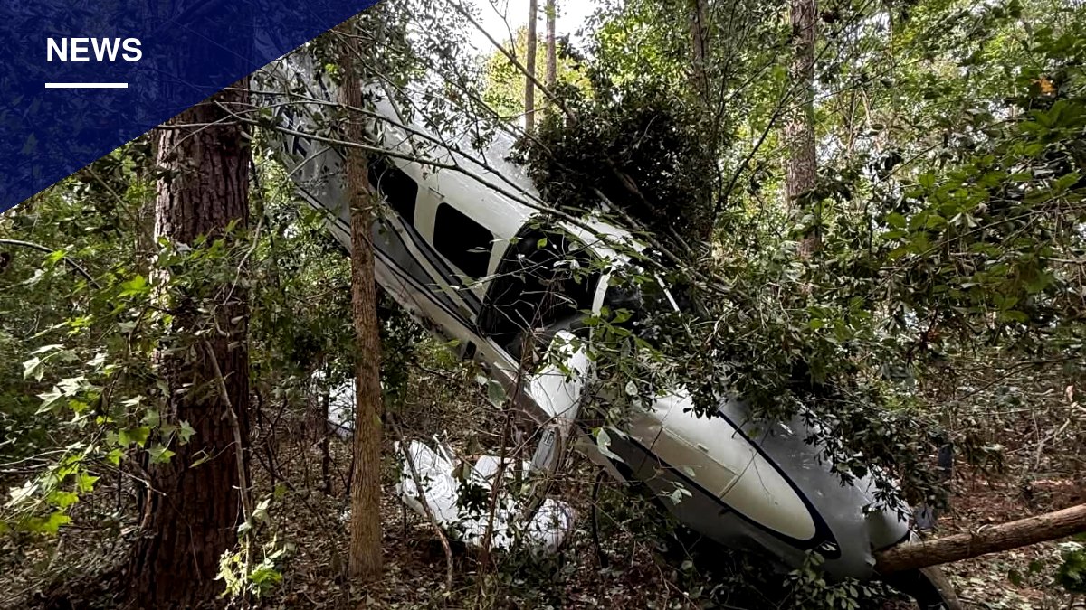 Pilot and Wife Walk Away After Plane Crashes Into Tree Near Ocean Isle