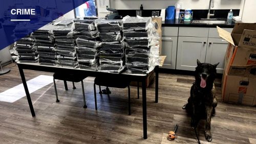 Police K-9 Finds 440 Pounds of Cocaine in Alhambra Traffic Stop