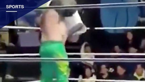 Referee Dies During Lucha Libre Match in Hidalgo, Wrestler Arrested