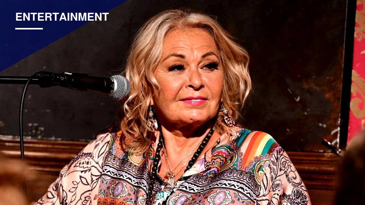 Roseanne Barr Pitches New Texas-Set Sitcom, Says She's Still Owed an Apology