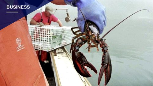 Trump Administration Unveils Seafood Labeling Plan and Aid for Fishermen, Meat Processors
